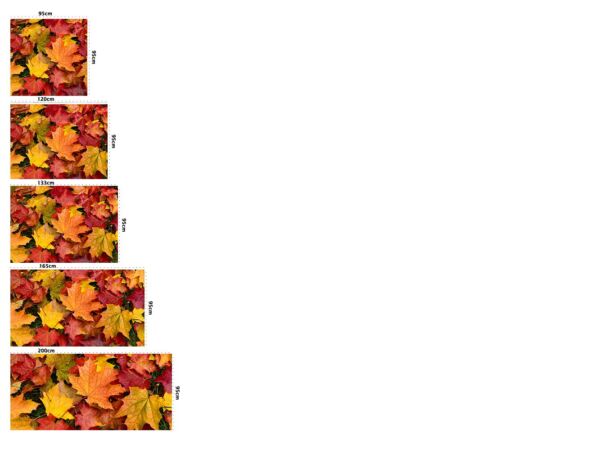 alfombra-hojas-secas-otoño-medidas