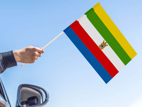 Bandera con palo Linares