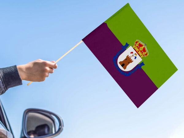 Bandera con palo Mancha Real