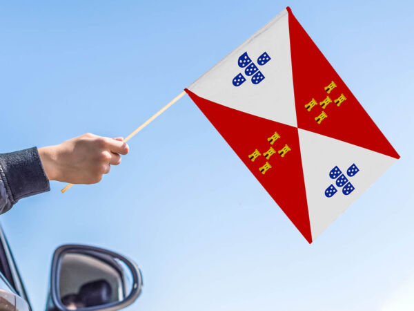 Bandera con palo Villadompardo