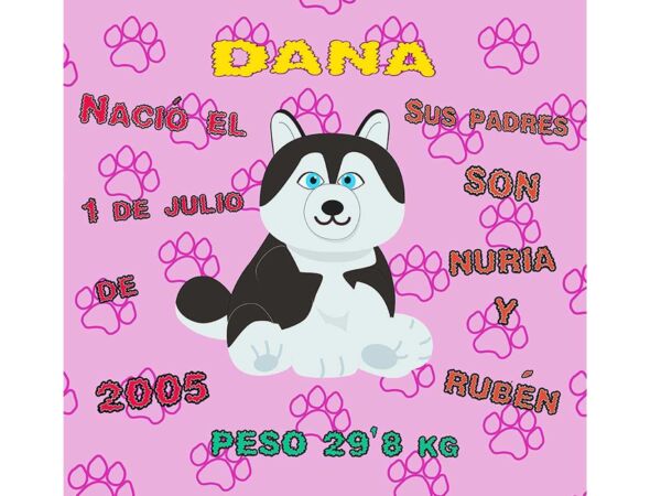 Cojín Animal Personalizado Perro Huellas Diseño