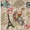 Cojín Vintage Bicicleta Roja París