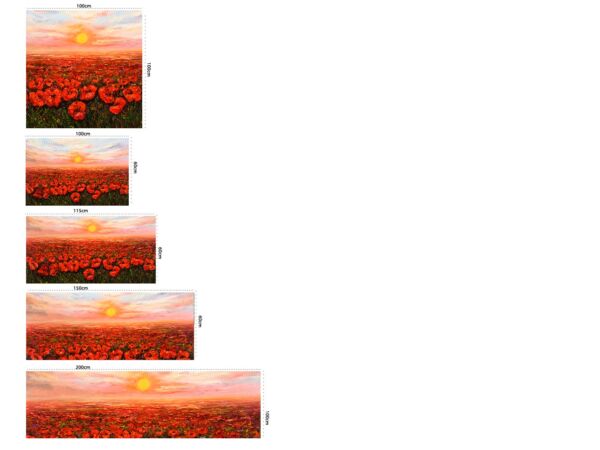 cuadro-campo-amapolas-medidas