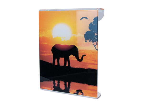 Cuadro de metacrilato elefante