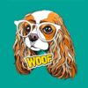 Cuadro PVC Perrito Gafas Woof Diseno