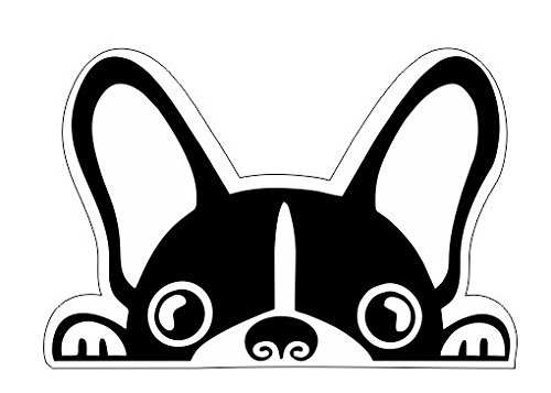 Fondo Vinilo Decorativo Perro Bulldog Francés