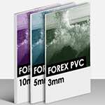 Forex PVC