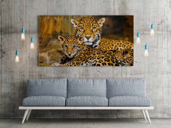 Fotocuadro Animales Familia Leopardos