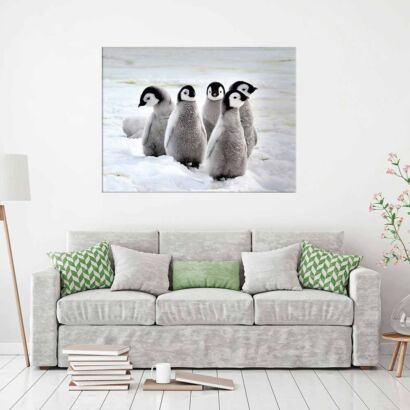 Fotocuadro Animales Pingüinos Polares