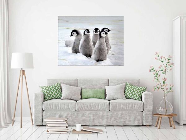 Fotocuadro Animales Pingüinos Polares