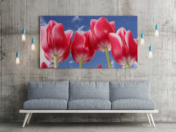 Fotocuadro Floral Tulipanes Rojos Florecidos