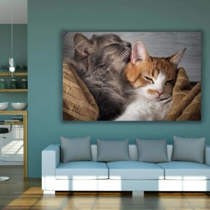 Fotocuadro PVC Gatitos Afecto