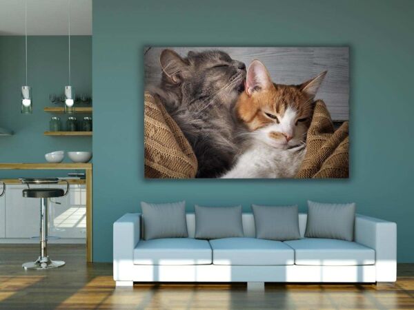 Fotocuadro PVC Gatitos Afecto