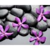 Fotocuadro PVC Zen Piedras Negras Flores Moradas Diseño