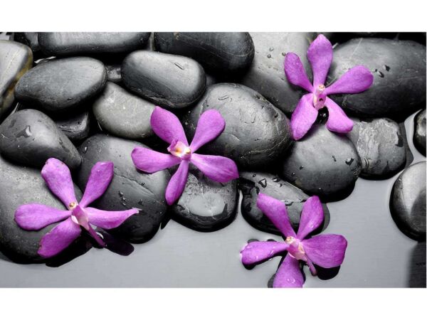 Fotocuadro PVC Zen Piedras Negras Flores Moradas Diseño