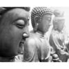 Fotocuadro PVC Zen Estatuas Buda Diseño