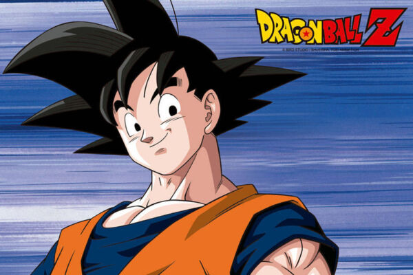 Fotomural Vinilo de Pared Dragon Ball Z Goku frontal