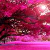 fotomural arbol ramas rosas diseno