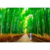 fotomural-bambu-de-arashiyama2