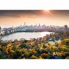 Fotomural Central Park Amanecer