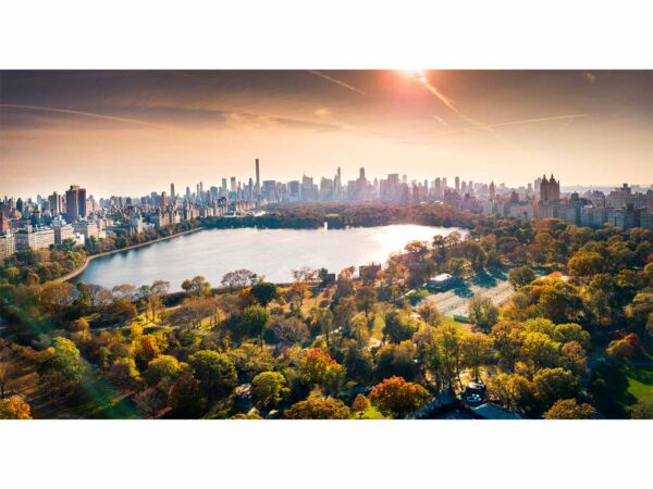 Fotomural Central Park Amanecer