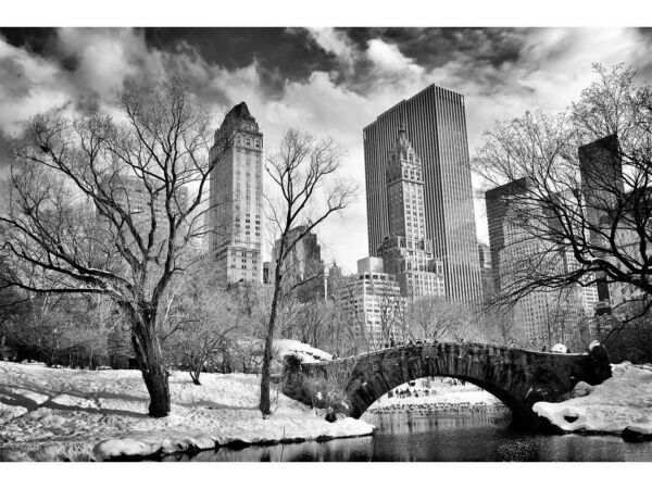 Fotomural Central Park Blanco y Negro