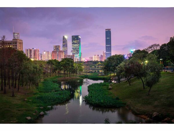 Fotomural Central Park de Noche