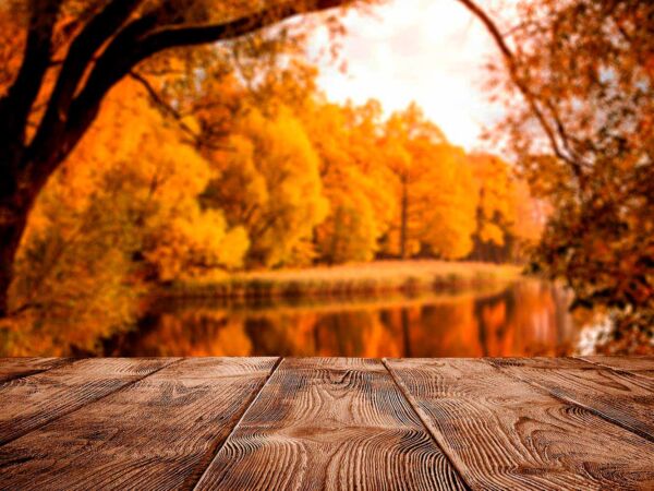 Fotomural Lago en Otoño