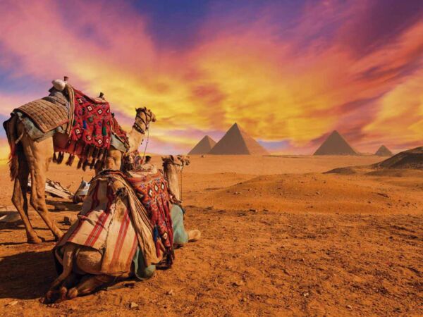 Papel Pintado Desierto Egipto