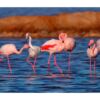 Papel Pintado Flamencos Marismas