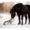 Fotomural Perro y Caballo