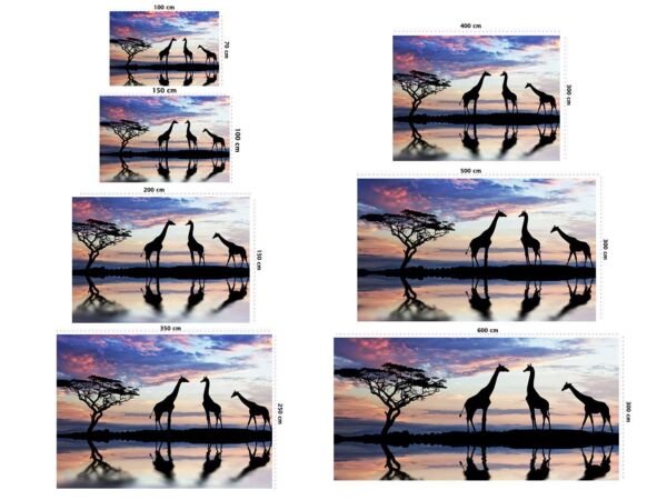 fotomural-sabana-girafas-medidas