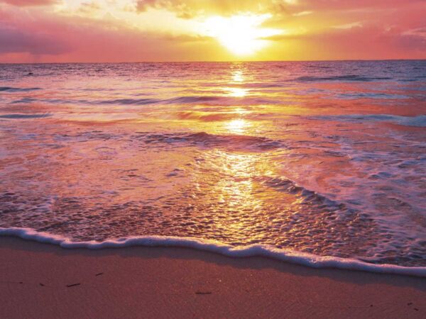 Fotomural Vinilo Atardecer Rosado en Playa