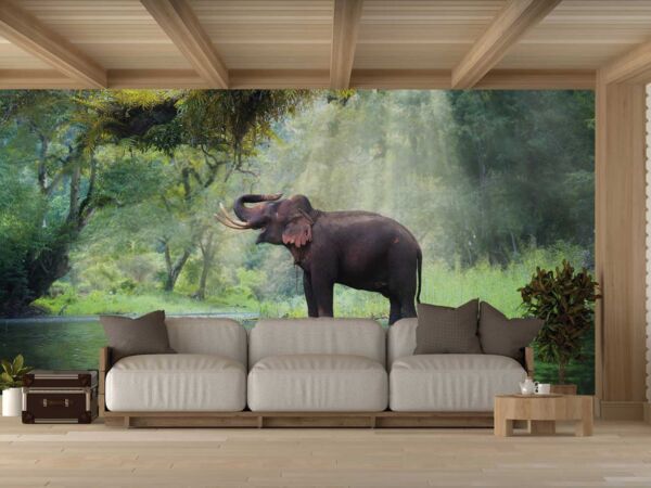 Fotomural Vinilo Elefante Bosque Tailandia