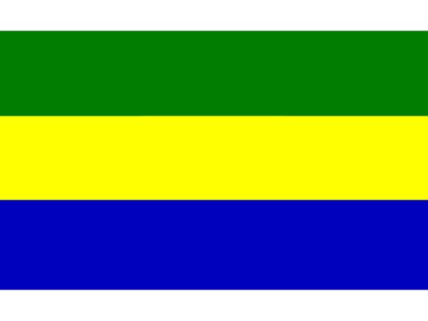 Bandera de Gambia