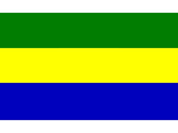 Bandera de Gambia