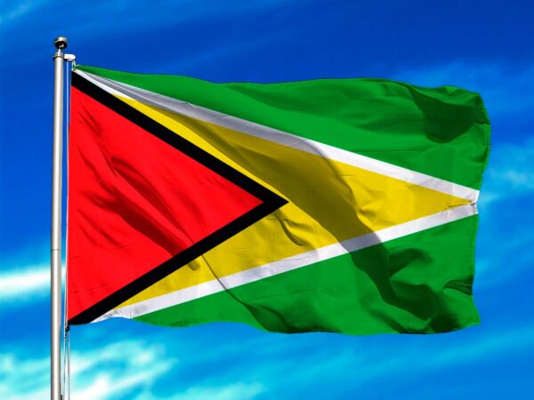 Bandera de Guyana