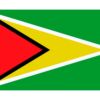 Bandera de Guyana
