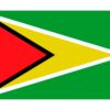 Bandera de Guyana