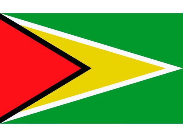Bandera de Guyana