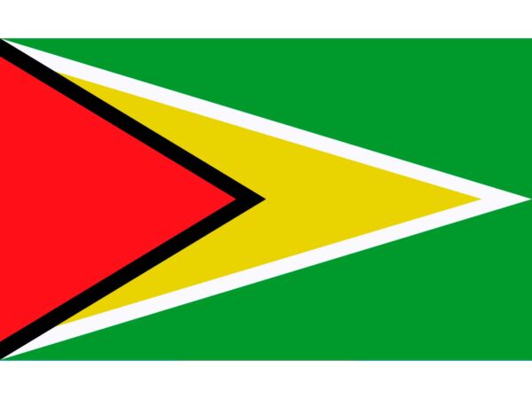 Bandera de Guyana