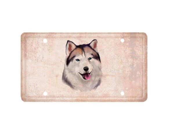 Matrícula Decorativa Animal Husky Siberiano