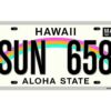 Matrícula Decorativa Hawaii Sun Aloha State Diseño