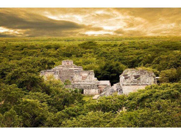 Papel Pintado Templo Maya