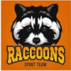 Vinilo Decorativo Puerta Raccoons Sport Team Diseño