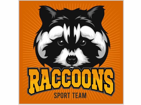 Vinilo Decorativo Puerta Raccoons Sport Team Diseño