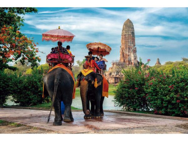 Vinilo Frigorífico Parque Ayutthaya Tailandia