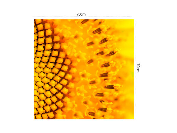 vinilo-lavadora-girasol-amarillo-medidas