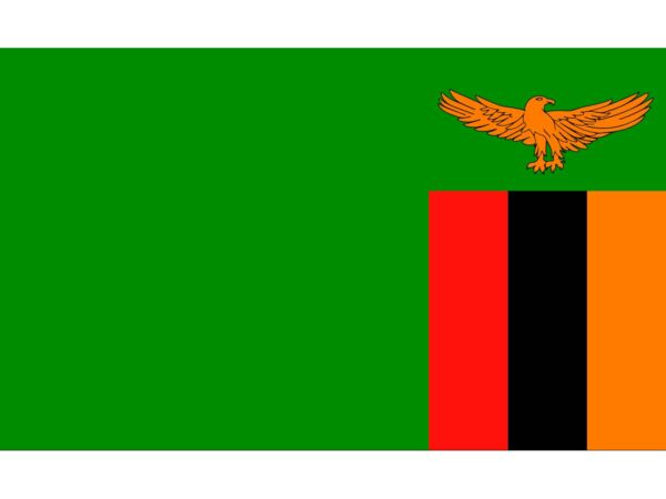 Bandera de Zambia