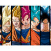 Cuadros PVC Dragon Ball Super Fases de Goku